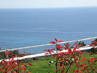 Two, see view independent houses / villas 212m² For sale now