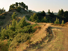 Loutra of Agia Paraskevi routes